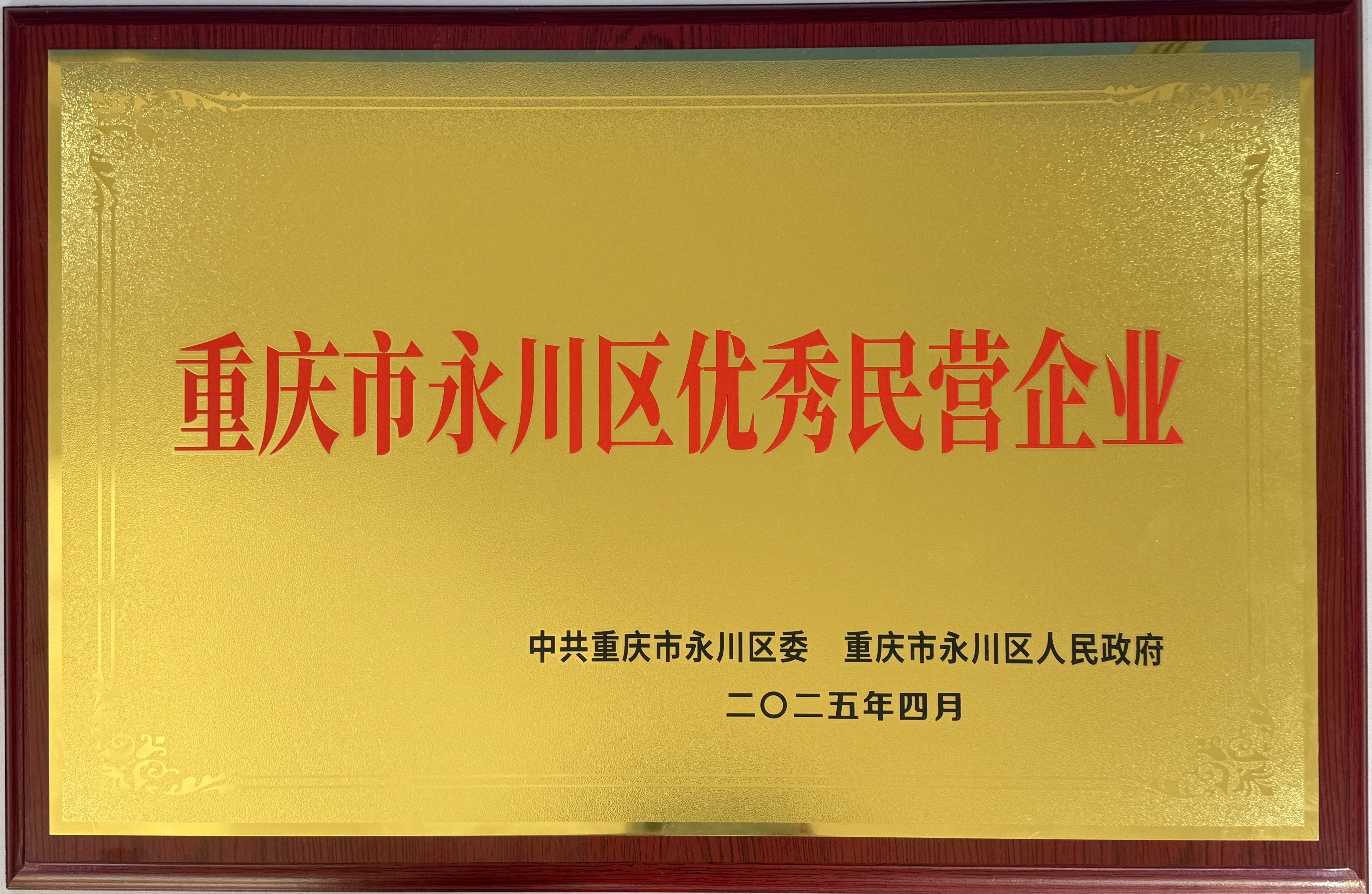 优秀民营企业荣誉.JPG